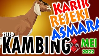 Shio KAMBING bulan MEI 2022 // ramalan Rejeki , Karir , Jodoh dan kisah Asmara bulan Mei th 2022