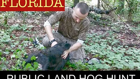 HOG Hunting PUBLIC LAND in Florida! {The Remington 30-06 eats again}