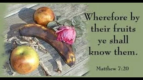 Know them by their FRUIT - DayDayNews