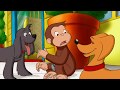 Curious George 🐵 George's Amazon Adventure🐵Full Episode 🐵 HD 🐵 Cartoons For Children