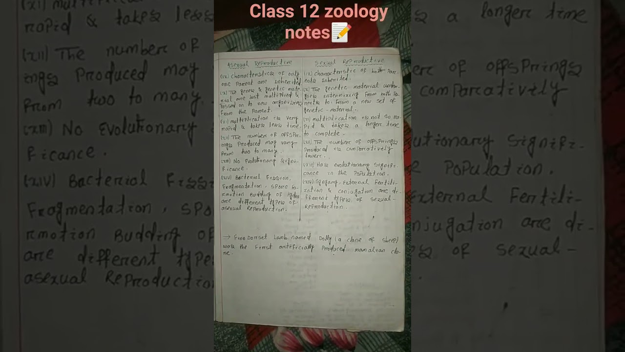 Class 12 zoology reproduction in human handwriting notes 📝