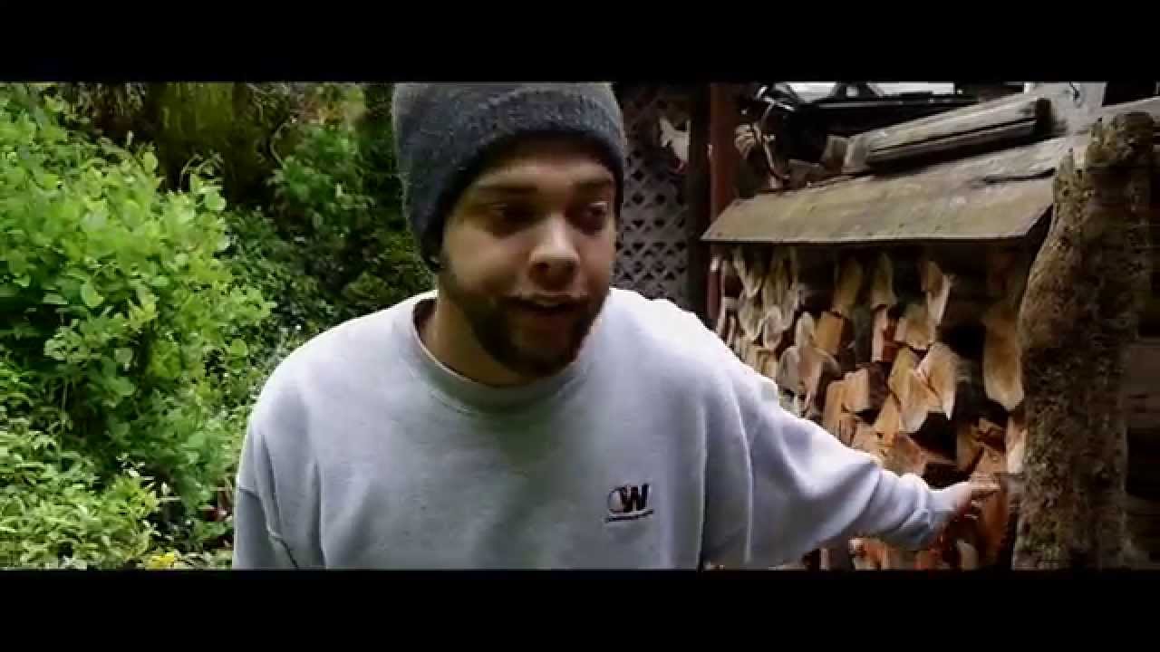 Dwayne Colbert - LOST VISIONS (Official Video)