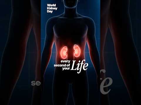 Small organs. Big job.