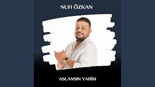 Aslansın Yarim