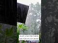 Heavy rain and thunder sounds on metal roof good for deep sleep fast #rain #sound #sleep