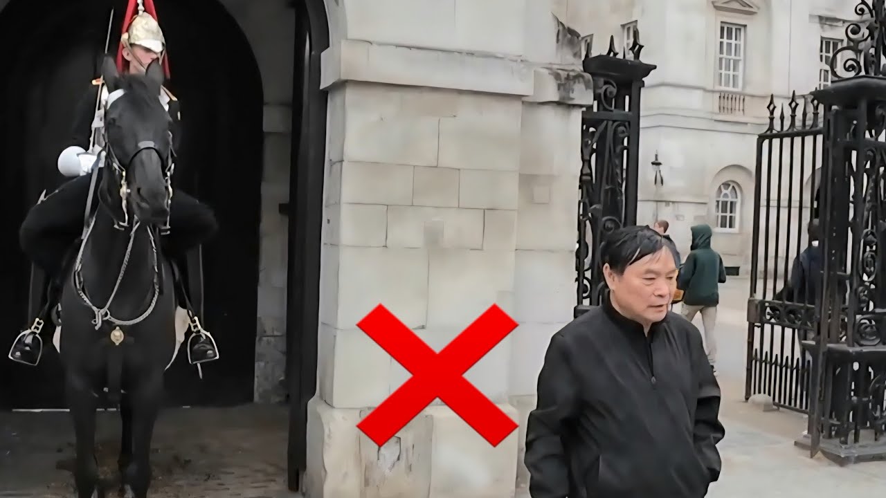 «Туристический идиот, не слушай!» — дважды крикнул охранник!