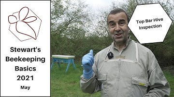 Top Bar Hive Inspection