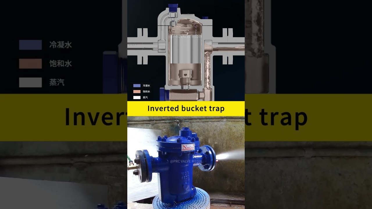 Inverted Bucket Trap 
