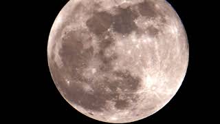 Super Blue Moon Eclipse - January 31st 2018 screenshot 4