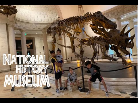 Wideo: Muzeum Historii Naturalnej Hrabstwa Los Angeles