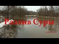 Разлив Суры 13 апреля 2018