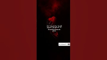 سورة فصلت القارئ خالد الجليل