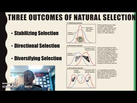 Video: Ce înseamnă stabilizarea selecției?