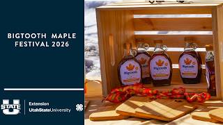 Bigtooth Maple Festival 2026