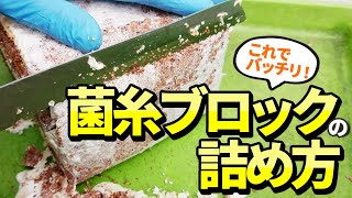 【初めてでもバッチリ！】菌糸ブロックの詰め方・使い方を専門店が解説！ブロック１個から何本の菌糸ビンが作れるのか！？