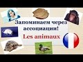 Урок#113: Как легко запоминать французские слова? Животные - les animaux