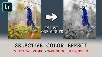 Selective Color Effect | Adobe Lightroom Mobile Tutorial | Watch in Fullscreen