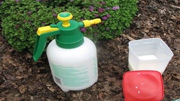 Sữa Để Lâu Hết Hạn, Mẹ Lấy Dùng Từ Việc Nhà Đến Trồng Hoa Hiệu Quả Vô Cùng, Chớ Bỏ Tiếc Của