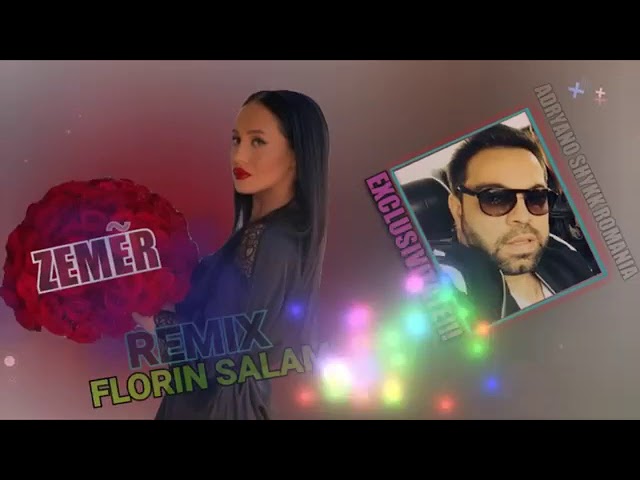 florin salam remix zemer(cover)
