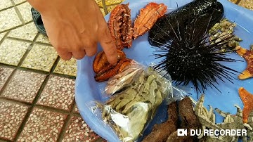 Rượu ngâm sâm biển