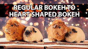 Easy DIY Bokeh Filter