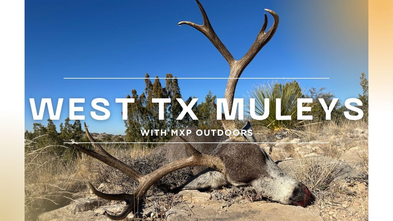 WEST TEXAS MULE DEER HUNTING