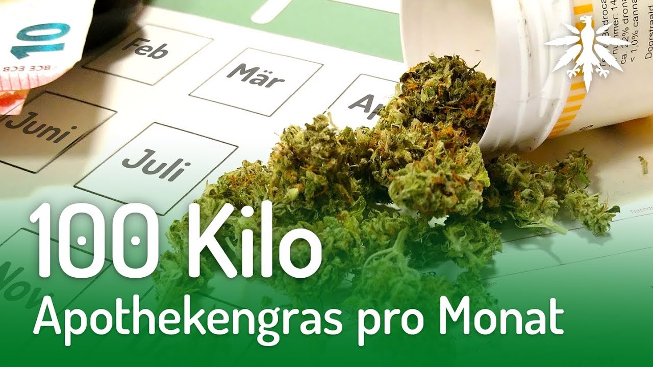 100 Kilo Apothekengras pro Monat | DHV-News 