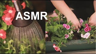 ASMR Planting Flowers & Herbs | Dry Soil & Water Sounds | Watering | No Talking