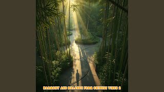 Harmony and Balance from Chinese Vibes 2
