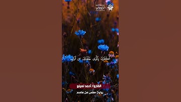 مقطع رائع للشيخ #أحمد_نعينع من سورة الكهف من الإسكندرية بمقام الحجاز #قرآن_كريم #اضاءة #سورة_الكهف