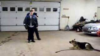 Police K-9 Training