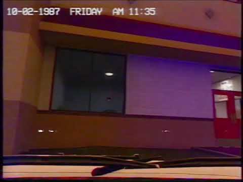 TwelveMan_OP | Analog Fest - The Bite of '87