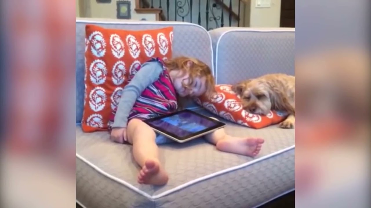 Dog barks at girl for falling asleep on his pillow YouTube