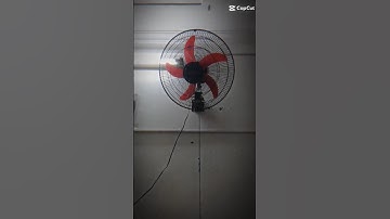 quạt treo tường senko tc16 (2024)