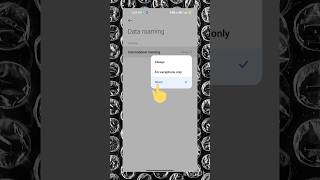 Mobile Network Roaming Data Secret Setting