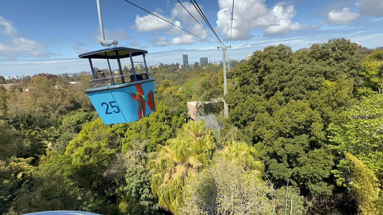 San Diego Zoo Skyfari aerial tram installation photo 2