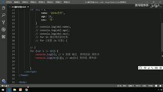 黑马Pink前端Javascript教程:P153 28 遍历对象