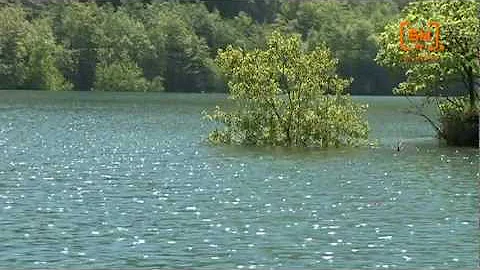 Quanta acqua c'è nella diga di Ridracoli?