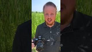 Autofocusing a Sony E Lens on a Nikon Z Camera