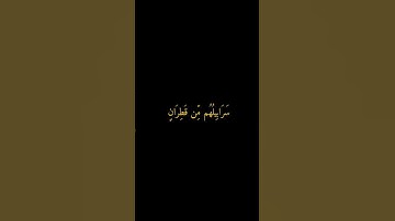 يَوْمَ تُبَدَّلُ الْأَرْضُ غَيْرَ الْأَرْضِ وَالسَّمَاوَاتُ|ياسر الدوسري|تلاوه نادره