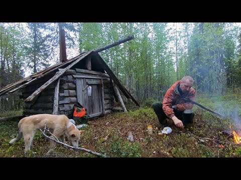 Не погибнуть на пороге избы.Шокирующий поступок медведя.Поход на 4 дня.