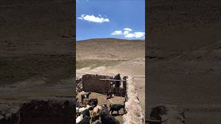 Real Life of Afghan Nomads | A Simple Life Close to Nature