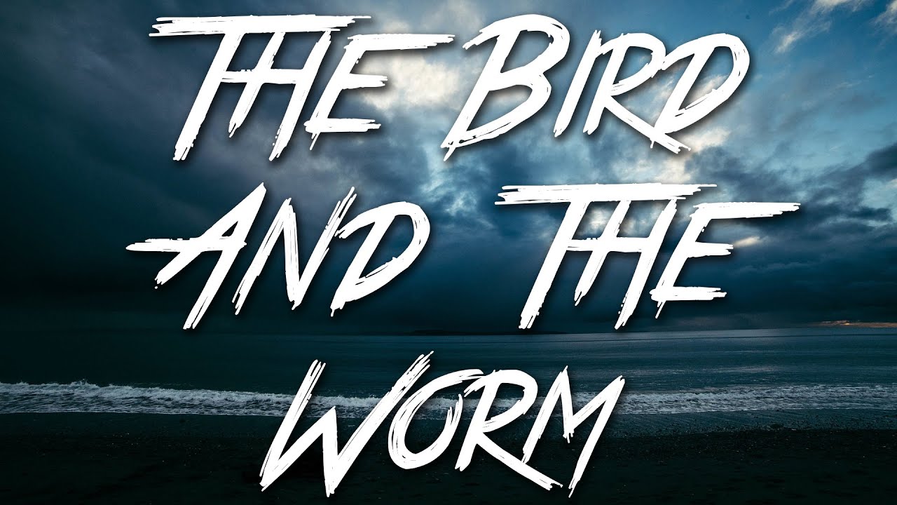 The Bird And The Worm   The Used Lyrics HD