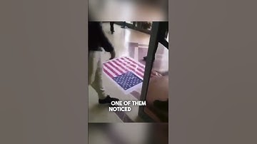 They showed respect to the American flag ❤️