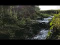 small stream with relaxing sound