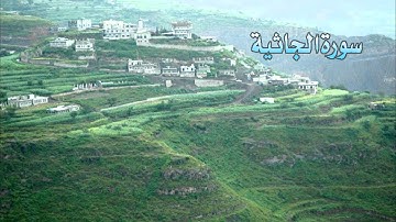 تلاوة خاشعة ومبكية - الشيخ هاني الرفاعي - سورة الجاثية | surat al jathia