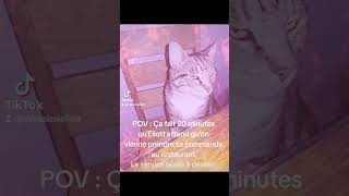 20mn qu'Eliott attend qu'on prenne sa commande au restaurant. Le service laisse à désirer🤣 #cat