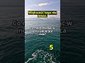 Co może zniknąć w nocy, ale wraca rano? #quiz #logika #ciekawostki #motywacja #funny #zagadkiflux
