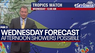 Tampa weather June 19, 2024 | brisk wind moves showers in