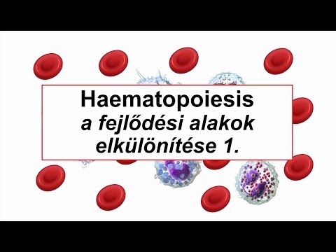 Videó: A Hematológus Megválaszolja Az Idiopátiás Thrombocytopen Kezelésével Kapcsolatos Kérdéseket